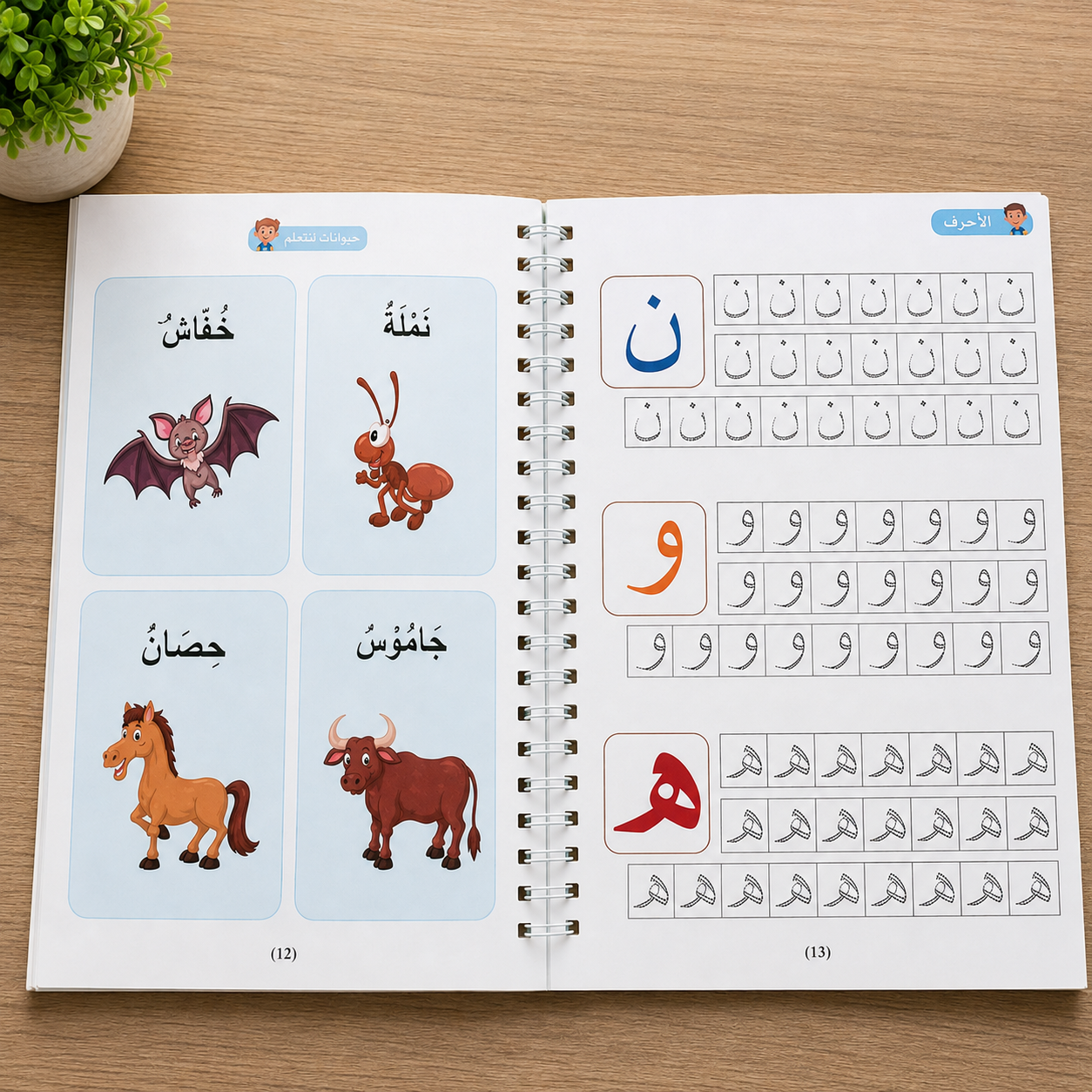 Magic Book Set For Kids - مجموعة من 4 كتب سحرية للأطفال